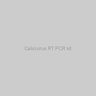Calicivirus RT PCR kit